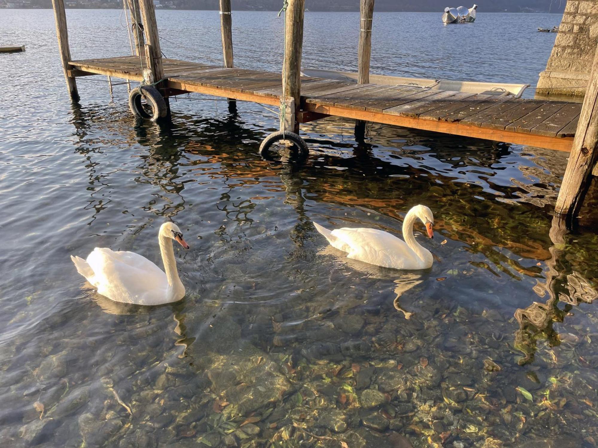 Appartamento Vacanze Al Lago Orta San Giulio Exterior foto
